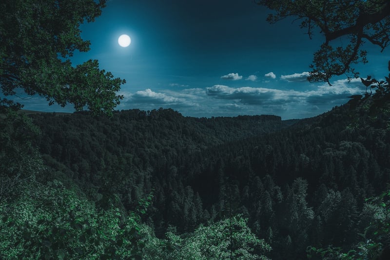Lunar Tokens